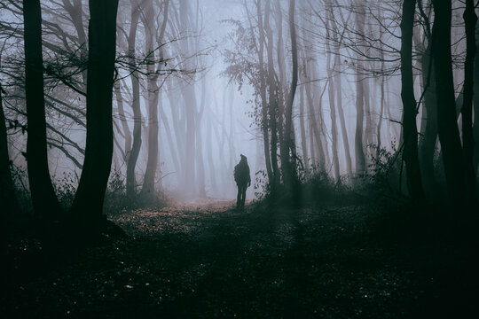 happy dog and owner in foggy forest