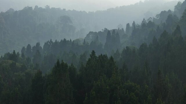 Aerial view of misty forest landscape with layered hills and dense evergreen trees in Sukabumi, West Java, Indonesia.