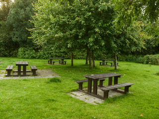 Fototapeta premium Several wooden picnic tables sit beneath leafy green trees in a grassy park. Sunlight filters through the canopy, creating soft shadows on the ground. The scene feels calm. Ideal for advertising parks