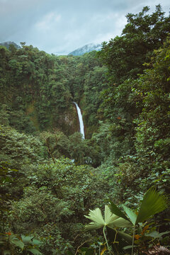 View of a waterfall cascading through a dense tropical rainforest with lush green foliage and a cloudy sky in Costa Rica.