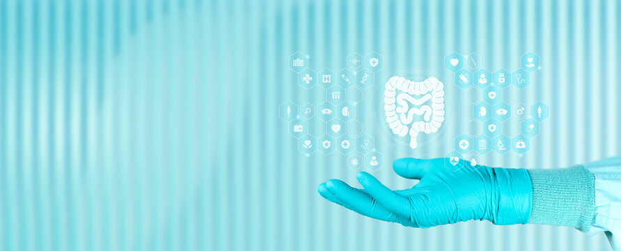 Concept of education regarding intestinal diseases and digestive health. A doctor's hand displays an icon of the large and small intestines. Isolated with copy space.