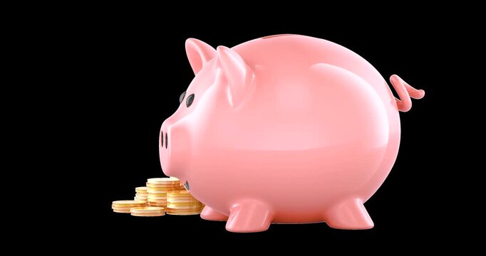 Piggy bank with gold coins rotation animation seamlessly loopable. 3D rendering isolated on transparent background