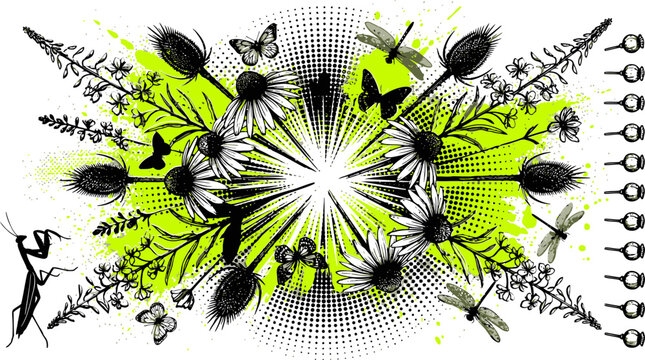 Vintage floral insect vector illustration background, monochrome botanical splash banner with butterflies dragonflies mantis and wild flowers