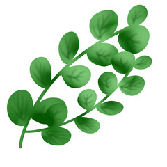 Obraz premium Green Elips Leaf