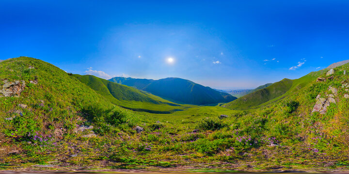 Panoramic view captures a green mountain valley in Kyrgyzstan. Grassy slopes adorned with purple wildflowers lead to rolling hills and distant hazy mountains under a clear blue sky.