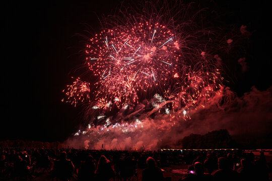 fireworks in the night sky