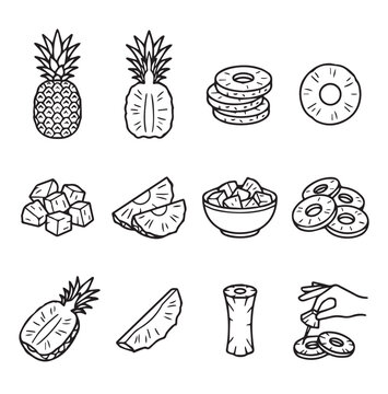 Pineapple slices and whole fruit in a clean line art style for culinary and tropical concepts