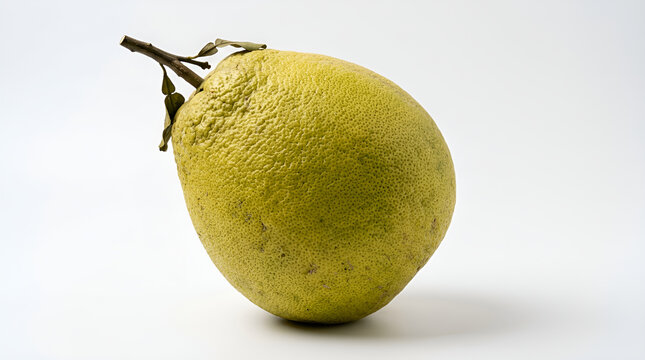 One whole greenish yellow pomelo citrus large round coarse porous with short woody stem small green leaf, fresh glossy on clean white surface soft shadow minimalist