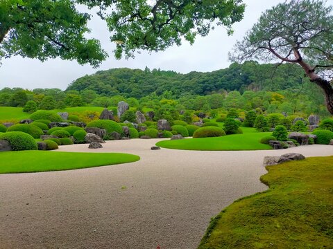 芝地を横切る園路と刈込の日本庭園