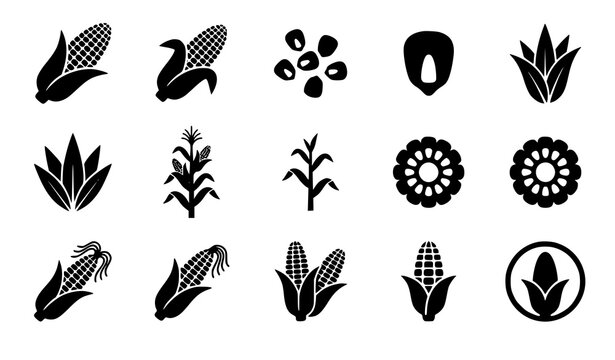 Black corn and maize icons set simple flat silhouette vector illustration