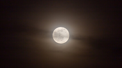 full moon in the night © ric