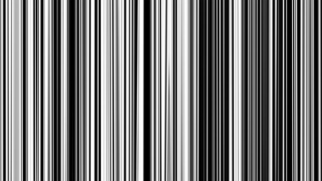 Abstract black and white vertical stripes background, monochrome barcode lines with soft gradient texture