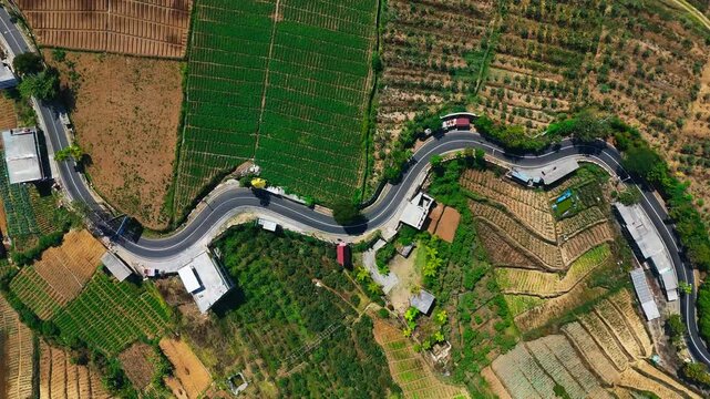 Aerial view of the winding road connecting Batu and Pacet surrounded by lush agricultural fields and terraced farmland in Batu, East Java, Indonesia.