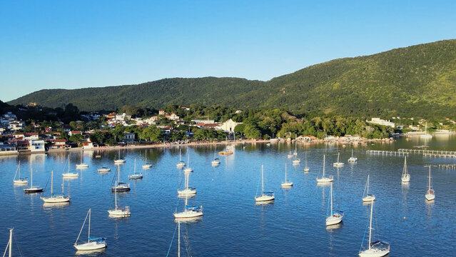 Scenic drone view of a dense flotilla of white sailboats anchoring in the peaceful natural harbor of Santo Antonio de Lisboa, Florianopolis, Brazil.

