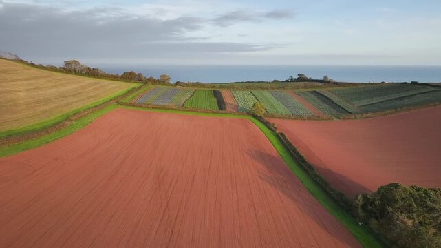 Colours of autumn Fields and Farms from a drone, Sheldon, Devon, England, United Kingdom