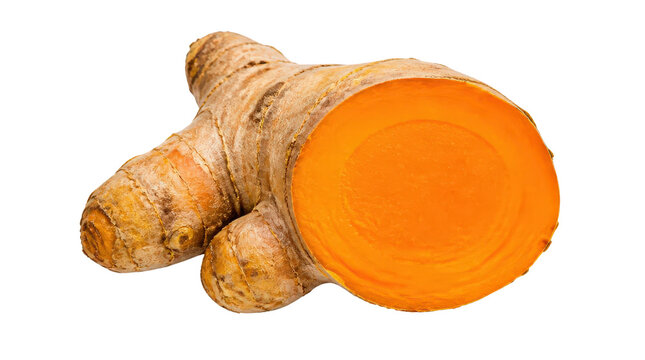 Turmeric Root Sliced with Vibrant Orange Flesh