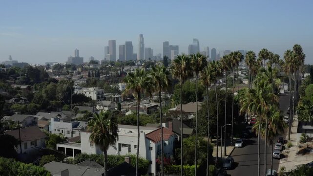 Los Angeles Skyline Jib Reveal With Palm Trees in Foreground