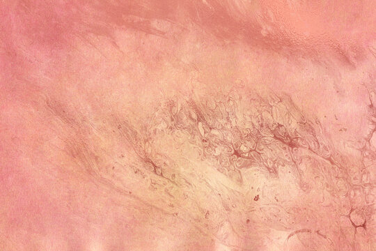 Human skin texture showing close up view of pores and surface details for medical and cosmetic use