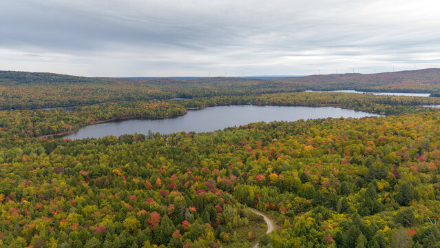 Aerial Autumn Landscape of Forest and Egg Pond in Lincoln, Maine Showing Colorful Fall Foliage and Winding Trail