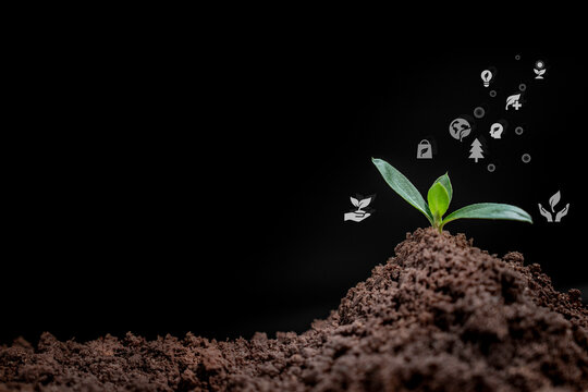 Concept featuring a green plant growing in soil, accompanied by icons representing clean, renewable future energy, well-being, and environmental sustainability.