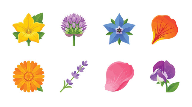 Set of Colorful Botanical Icons Featuring Edible Flowers and Herbs Like Lavender, Marigold, Allium, and Borage. Stylized Vector Illustration Isolated on White Background.