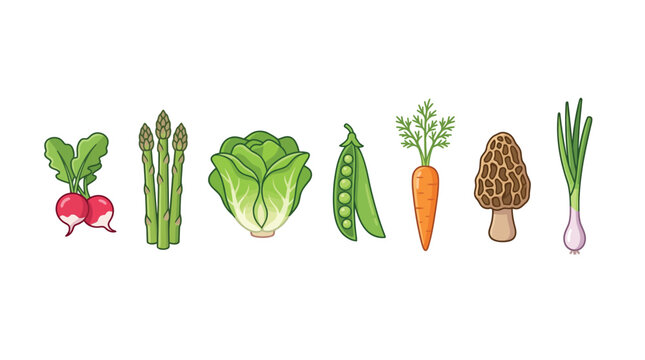 Vector set of spring vegetable icons including radish, asparagus, lettuce, peas, carrot, morel mushroom, and green onion isolated on white background.