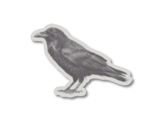 Obraz premium Halftone pop art raven sticker with paper texture cut off on transparent background