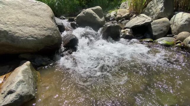 RIO YUBOA