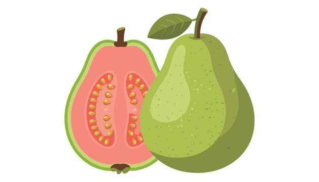 Fresh pink guava vector illustration featuring whole and half cut tropical fruit with seeds green leaf isolated