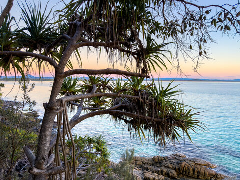 Coastal trees frame sandy beaches and blue ocean around Noosa Head on Queensland's Sunshine Coast, Australia.