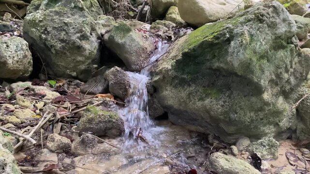Charco de los militares