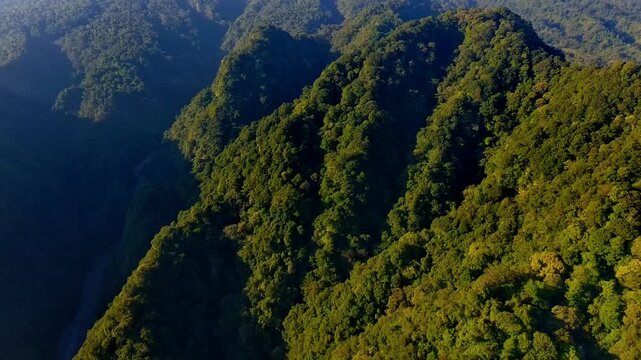 Aerial view of lush tropical forest covering the slopes of Kaliurang in Pakem, Special Region of Yogyakarta, Indonesia.