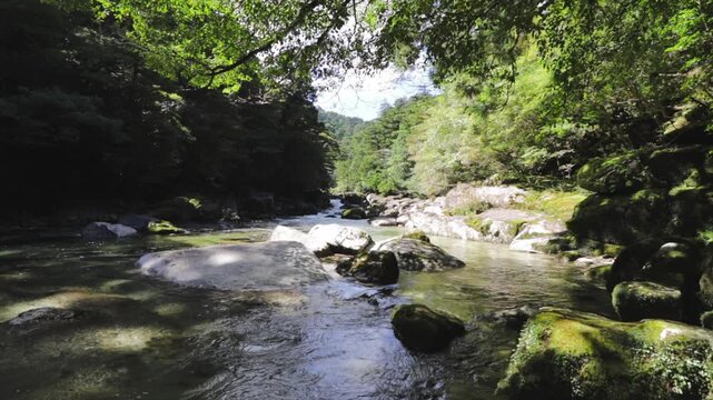 屋久島の森で巨岩の間を流れる美しい渓流