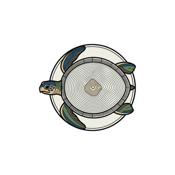 Turtle Woodcut Logo &ndash; Top View Sea Turtle with Tree Ring Shell Pattern, Nature and Wildlife Emblem in Vintage Engraved Vector Style