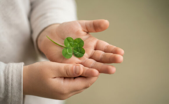Child holding a lucky four leaf clover in hands representing good fortune and hope