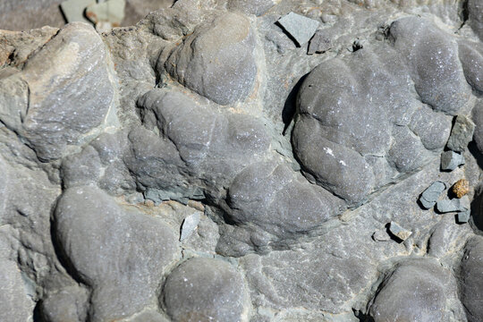 Canada, 26 August 2026 : Close-up view of textured bulbous sedimentary rock formations displaying natural erosion patterns