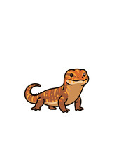Fototapeta premium Cute Armadillo Lizard side view flat vector isolated