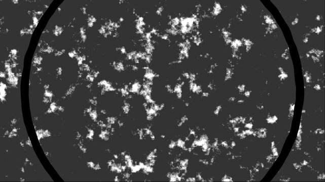 Abstract microbial growth patterns flashing between negative and positive styles for cinematic science clip