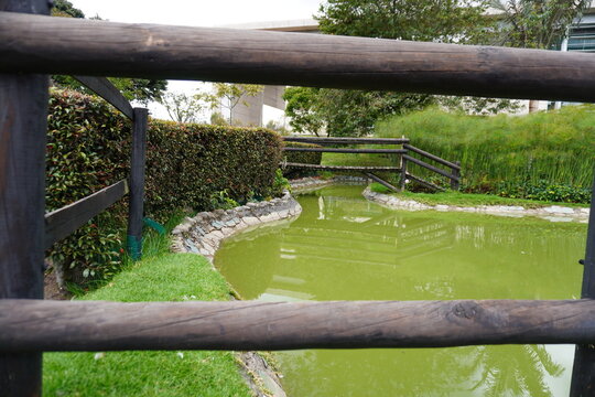 Lago en medio de pasto y madera como cerca
