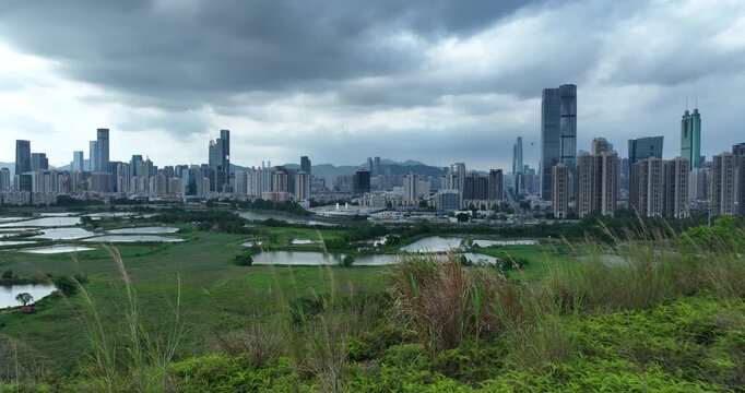 Rural green fields with fish ponds between Hong Kong and skylines of Shenzhen, China	