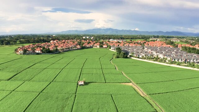Aerial view across irrigated rice paddies toward a dense housing development under a cloudy mountain horizon in San Na Meng, San Sai District, Chiang Mai, Thailand.