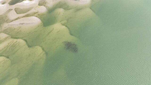 Aerial view of the Padma River with sandbanks and flowing water in Rajbari, Dhaka Division, Bangladesh.