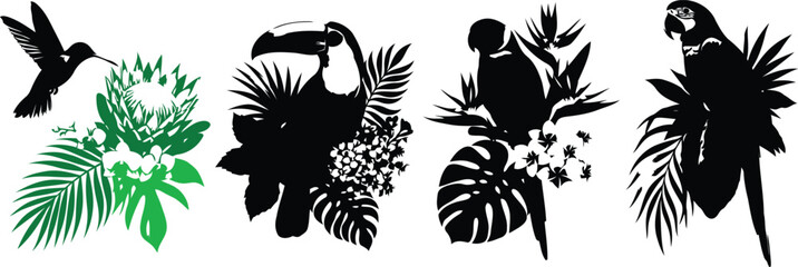 Obraz premium Tropical bird and exotic foliage silhouette collection with parrots toucan hummingbird and botanical elements