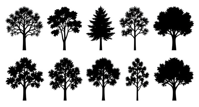 Black Tree Silhouette Collection Vector Illustration Isolated White Background Natural Decor Elements   