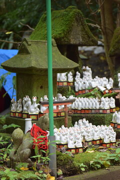 神社に並ぶ白い狐像と苔むした石灯籠