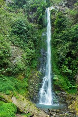 A scenic waterfall cascading into a clear pool surrounded by lush green vegetation and moss in the rainforest of Ecuador, © Miroslav Srb