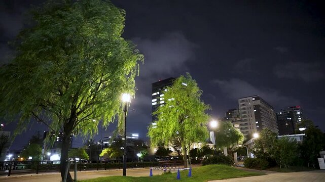 新潟市の信濃川河川敷の公園