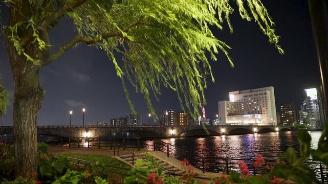 夏の夜の萬代橋と風に揺れる柳	