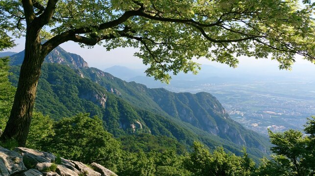 Panoramic view of a lush green mountain range seen through the branches of a large tree with rocky foreground and clear blue sky above