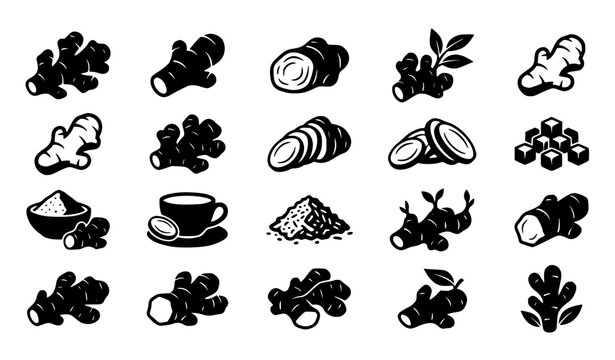 16 Ginger Root Solid Black Icons Set &ndash; Minimalist Food and Botanical Vector